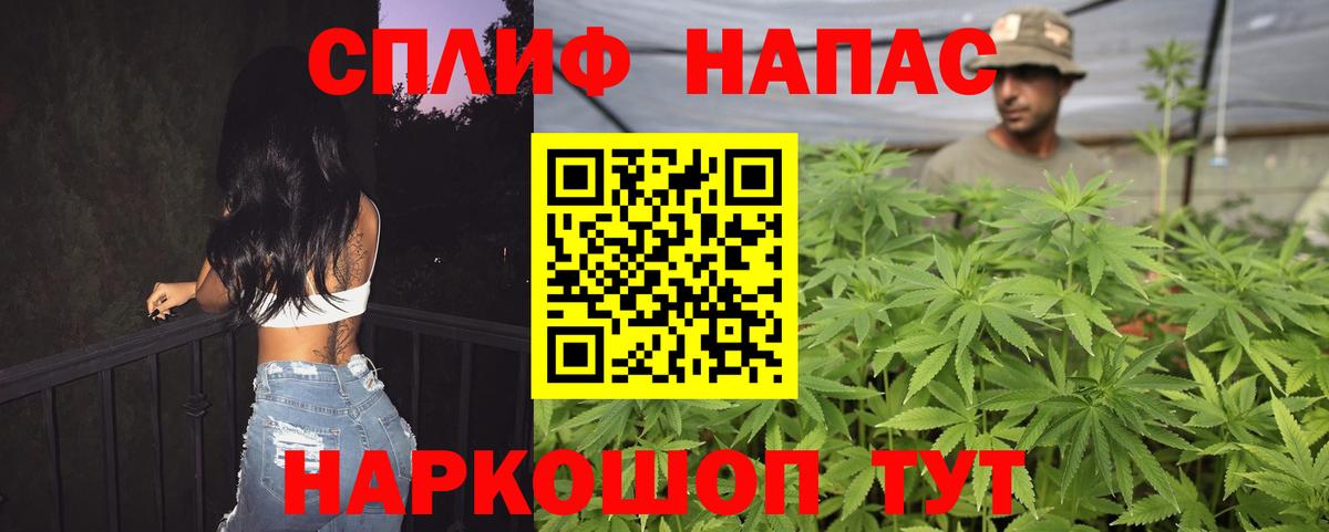 Каннабис ГИДРОПОН  Вход с VPN  Торжок  Марихуана Amnesia  МАРИХУАНА White Widow  Конопля SATIVA & INDICA 